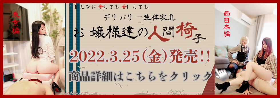 デリバリー生体家具〜YAMADA便器2